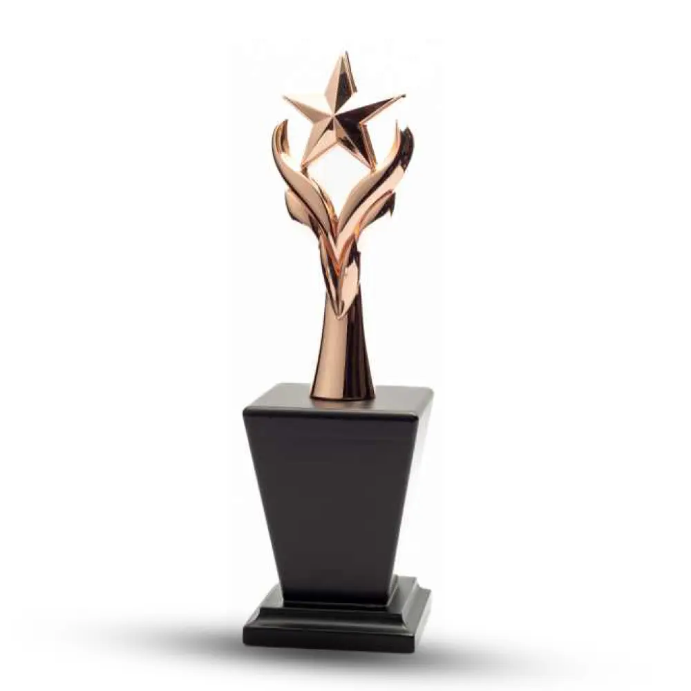 Metal Star Trophies shine bright on shelves.