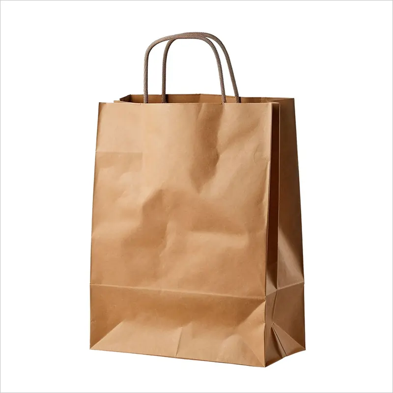 A single plain brown kraft paper shopping bag with twisted paper handles isolated on a clean white background.